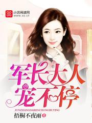 军长大人,宠不停!