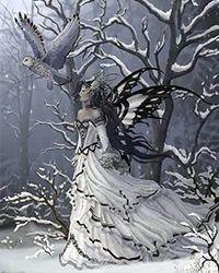 林默叶无珠苏如雪